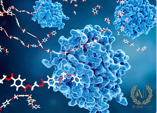 تفريغ الفیلر...